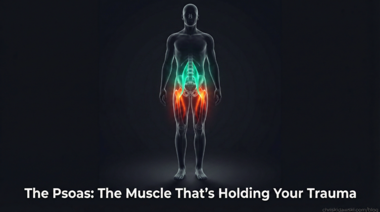 The Psoas: The Muscle That’s Holding Your Trauma